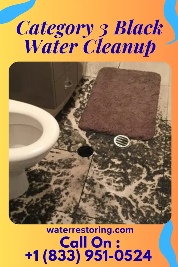 Category 3 Black Water Cleanup in Erwin, NC