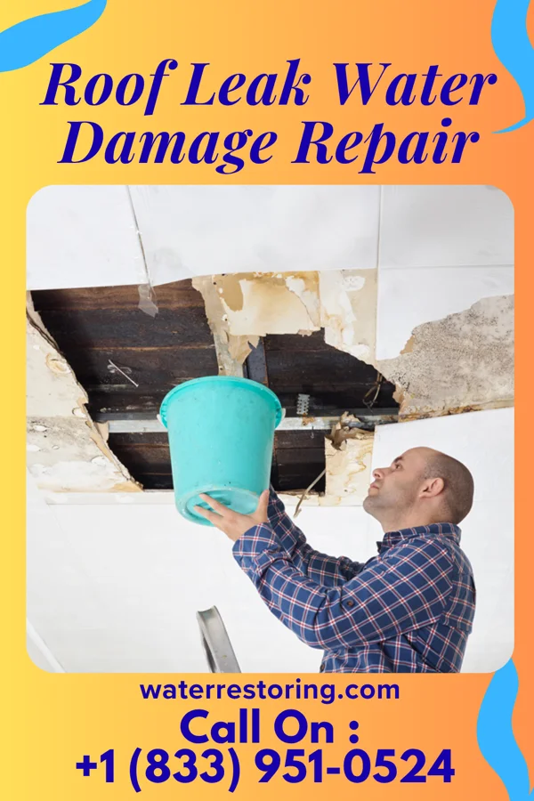 Roof Leak Water Damage Repair in Erwin, NC